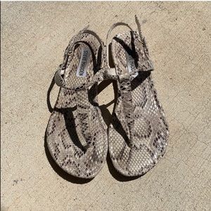 Steve Madden Snake Print Sandals Size 6